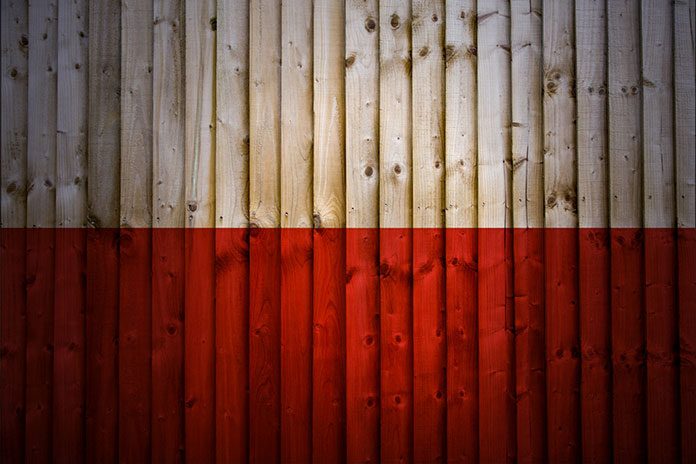 Wspieraj polski przemysł - kupuj polskie produkty