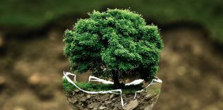 Czy warto szkolić się z eco-drivingu?