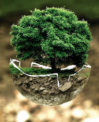 Czy warto szkolić się z eco-drivingu? Czy warto szkolić się z eco-drivingu?