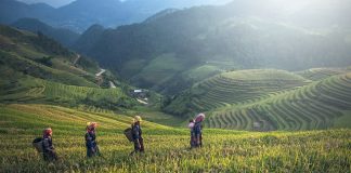 Przerwa od pracy - wycieczka do Boliwii