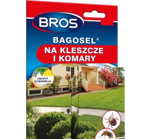 Kiedy wreszcie wybijesz owady które masz w mieszkaniu