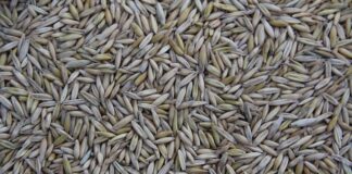 Co jest produkowane masowo? Co jest produkowane masowo?