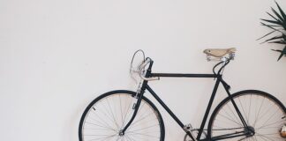 Co to jest cykl Kolba?