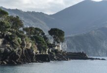 Ile kosztuje godzina doradztwa zawodowego? Ile kosztuje godzina doradztwa zawodowego?