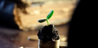 Jakie akcje dają dywidendy? Jakie akcje dają dywidendy?