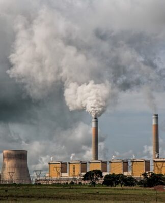 Co jeść a czego nie na redukcji?