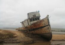 Co trzeba zrobić do końca stycznia 2023? Co trzeba zrobić do końca stycznia 2023?