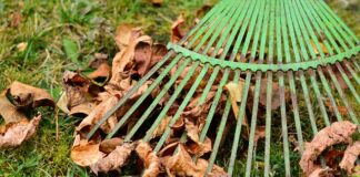 Jaka jest prowizja na Shopify? Jaka jest prowizja na Shopify?