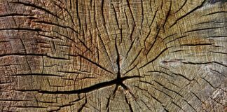 Jakie są ogólne zasady dotyczące rocznego rozliczenia podatku dochodowego? Jakie są ogólne zasady dotyczące rocznego rozliczenia podatku dochodowego?