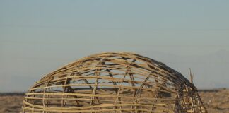 Czym zajmują się nomadzi? Czym zajmują się nomadzi?