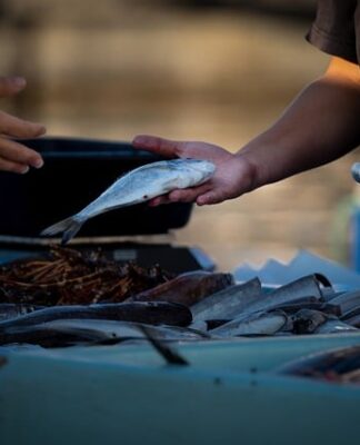 Co najbardziej opłaca się sprzedawać w internecie?