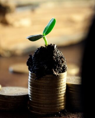 Jakie firmy płacą dywidendy?