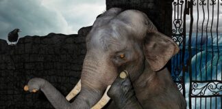 Jak skupić się w hałasie? Jak skupić się w hałasie?