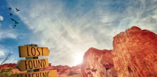 Co obejmuje doskonalenie i rozwój pracowników? Co obejmuje doskonalenie i rozwój pracowników?