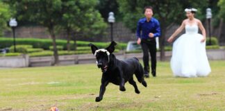 Czy pracownik może odmówić udziału w szkoleniu?