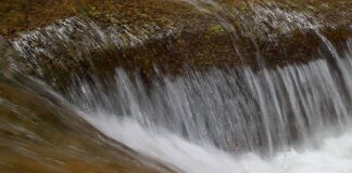 Czy z tytułem licencjata można uczyć w szkole? Czy z tytułem licencjata można uczyć w szkole?