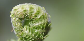 Jak rozwijać się społecznie?