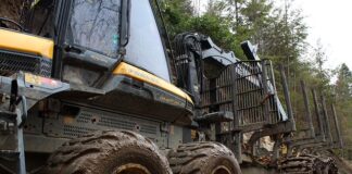 Co jest lepsze spedytor czy logistyk? Co jest lepsze spedytor czy logistyk?