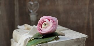 Jakie to są zobowiązania długoterminowe? Jakie to są zobowiązania długoterminowe?