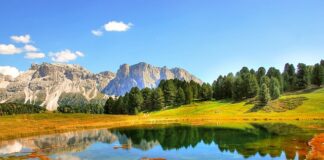 Jaki jest zakres pedagogiki pracy? Jaki jest zakres pedagogiki pracy?