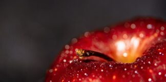 Jakie są korzyści sieci dystrybucji? Jakie są korzyści sieci dystrybucji?