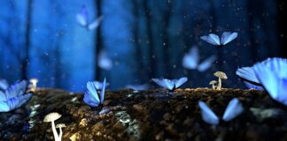 O czym jest bajka Krasickiego? O czym jest bajka Krasickiego?