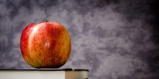 Co oznacza klasa A+ w telefonie? Co oznacza klasa A+ w telefonie?