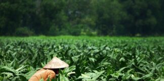 Co wpisać w dodatkowe zajęcia edukacyjne?