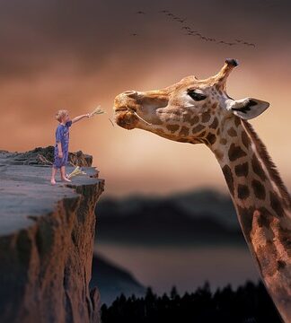 Czy da się żyć z giełdy?