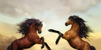 Jak zostać cyfrowym nomada? Jak zostać cyfrowym nomada?