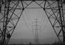 Jak usprawnić pracę doradcy zawodowego w szkole?