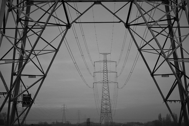 Jak usprawnić pracę doradcy zawodowego w szkole? Jak usprawnić pracę doradcy zawodowego w szkole?