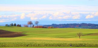 Ile to jest 18 000 brutto? Ile to jest 18 000 brutto?