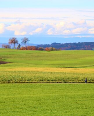 Ile to jest 18 000 brutto?