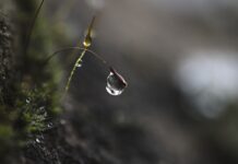 Czym jest skupienie uwagi?