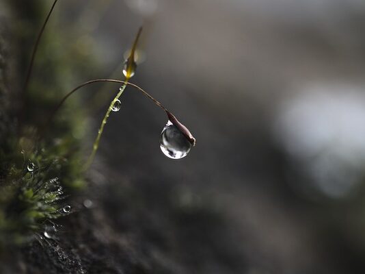 Czym jest skupienie uwagi? Czym jest skupienie uwagi?