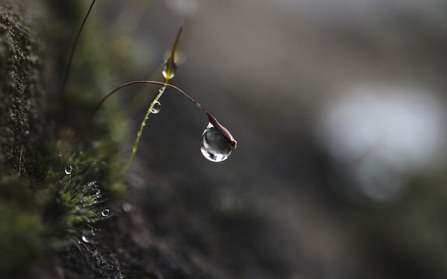 Czym jest skupienie uwagi? Czym jest skupienie uwagi?