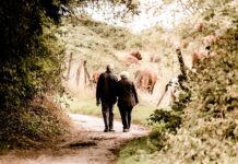 W jakim kraju są najwyższe emerytury?