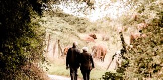 W jakim kraju są najwyższe emerytury? W jakim kraju są najwyższe emerytury?