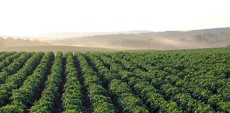 Czym charakteryzuje się dobry zespół?