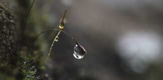 Czym się różni skupienie od koncentracji? Czym się różni skupienie od koncentracji?