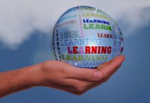 Kim można być po pedagogice? Kim można być po pedagogice?