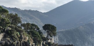 Ile kosztuje godzina pracy doradcy?