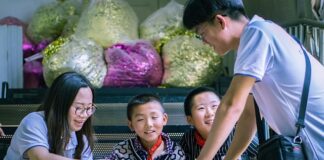 Jak udokumentować wolontariat do liceum?