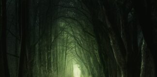 Z czym wiązało się przejście człowieka na osiadły tryb życia? Z czym wiązało się przejście człowieka na osiadły tryb życia?