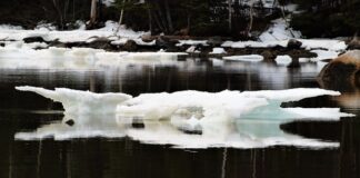 Co to jest Global Mobility? Co to jest Global Mobility?