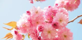 Ile paczek dziennie w Polsce? Ile paczek dziennie w Polsce?