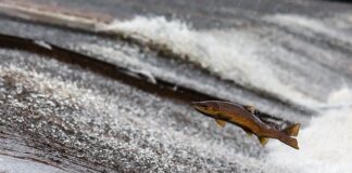 Od kogo najlepiej kupić prąd? Od kogo najlepiej kupić prąd?