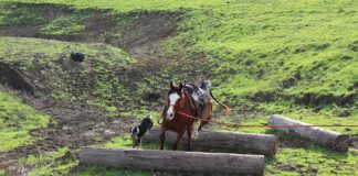 Kto odpowiada za podstawę programowa? Kto odpowiada za podstawę programowa?
