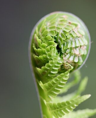 Jak rozwijać kompetencje społeczne u uczniów?